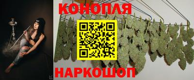 спиды Новозыбков