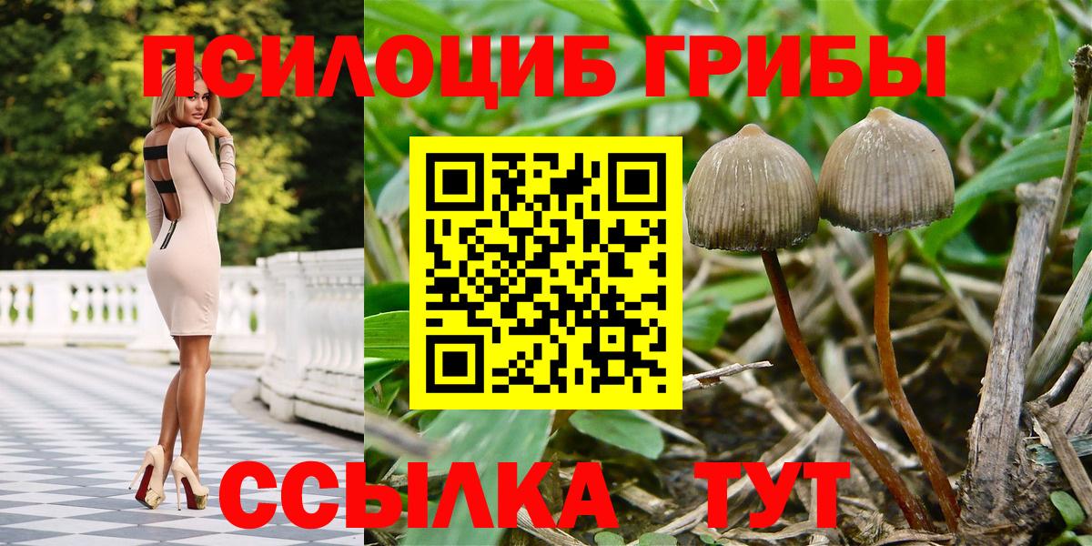 Псилоцибиновые грибы Magic Shrooms  Вход с VPN  Удомля 
